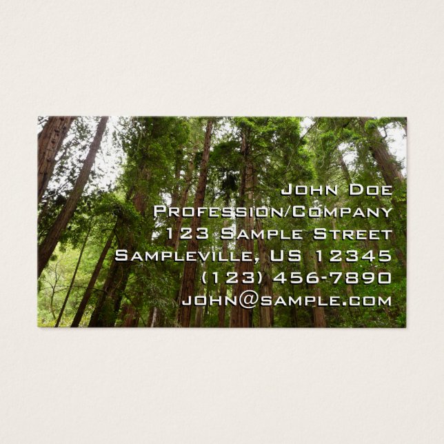 Hasta secuoyas en el Monumento Nacional Muir Woods (Frente)