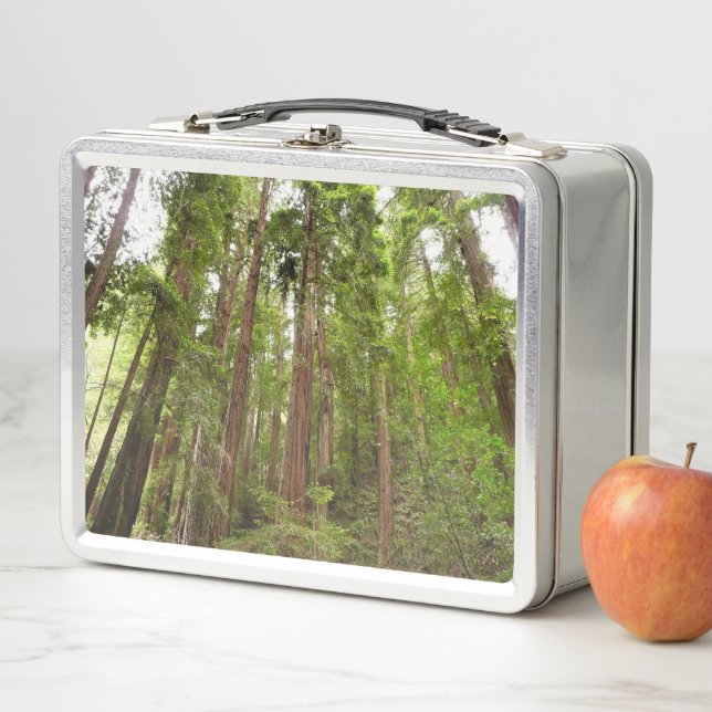 Hasta secuoyas en el Monumento Nacional Muir Woods (In situ)