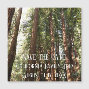 Hasta secuoyas II en el monumento nacional Muir Wo