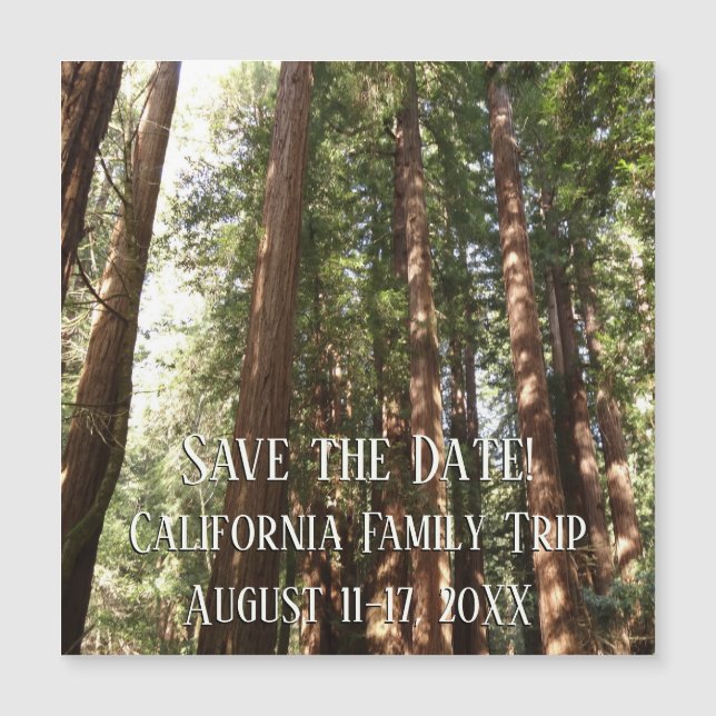 Hasta secuoyas II en el monumento nacional Muir Wo (Anverso)