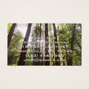 Hasta secuoyas por la mañana