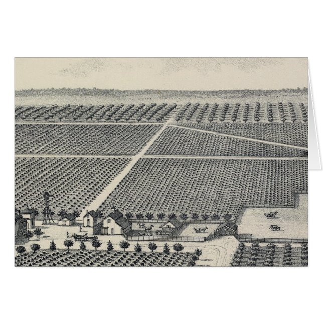 Hastie Vineyard, California (Anverso (Horizontal))