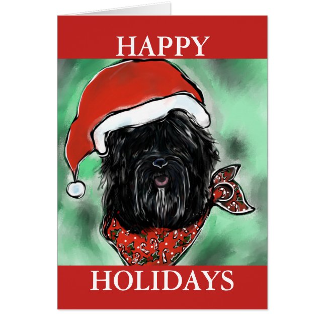 HAVANA SILK DOG (Frente)