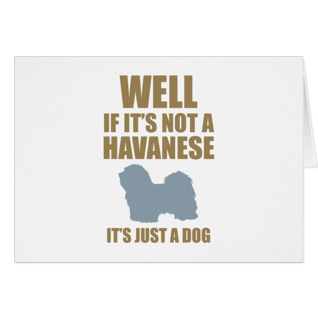 Havanese (Anverso (Horizontal))
