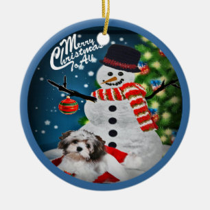 Havanese con el ornamento del navidad del muñeco