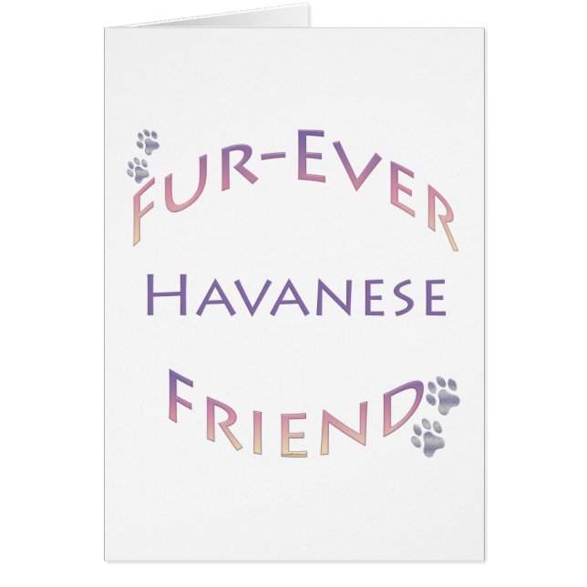 Havanese Furever (Frente)