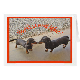 ¿Havent que nos encontramos antes? Humor