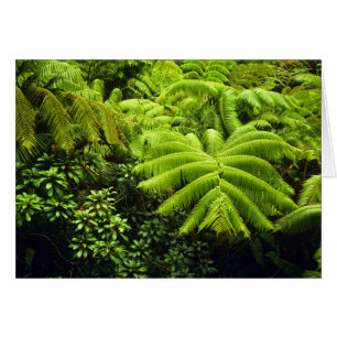 Hawái, Isla Grande, Exuberante vegetación tropical