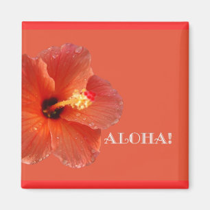 ¡Hawaiana! Imán del hibisco