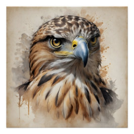 Hawk no 1 Poster brillante