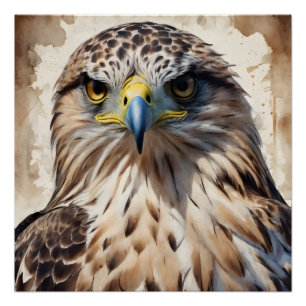 Hawk no 3 Poster brillante