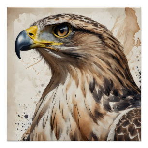 Hawk no 7 Poster brillante