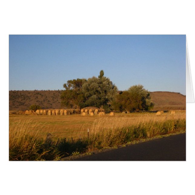 Hay (Anverso (Horizontal))