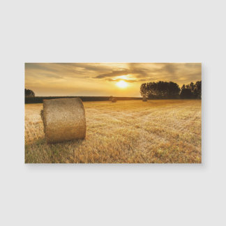 Hay