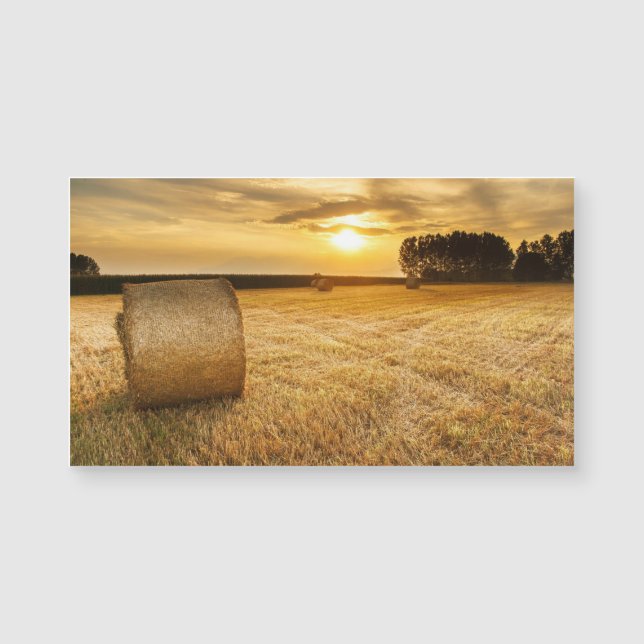Hay (Anverso)