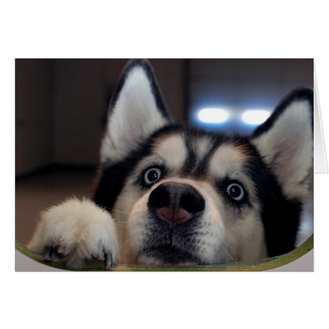 Hay Alguien Ahí Fuera. (Anverso (Horizontal))