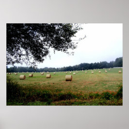 Hay Bales de Ocala Florida poster arte fotográfico