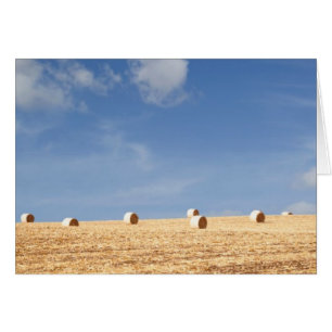 Hay Bales en el campo