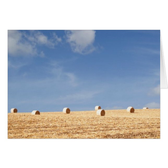 Hay Bales en el campo (Anverso (Horizontal))