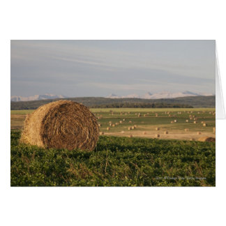 Hay Bales En Un Campo Con Montañas Al Amanecer