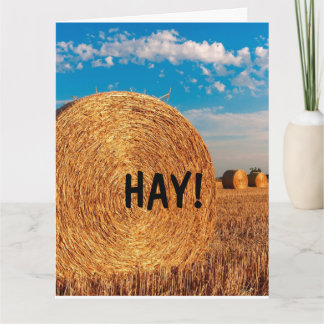 HAY FUNNY PUN HELLO Tarjetas de felicitación