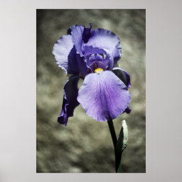 Hay impresión de belleza