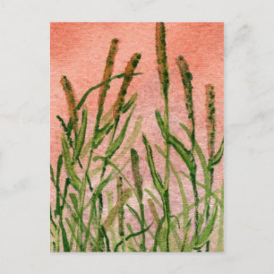 "Hay Someday", tarjeta postal