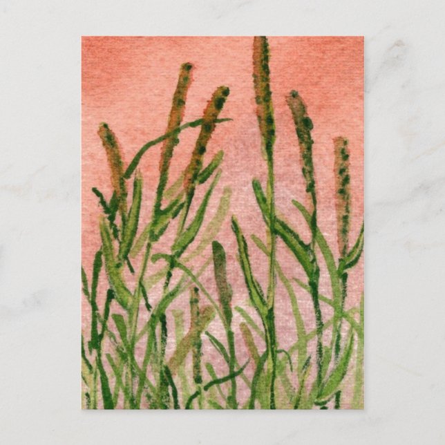 "Hay Someday", tarjeta postal (Anverso)