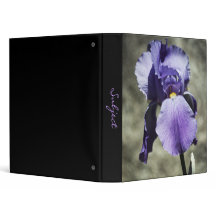 Hay un enlace de belleza