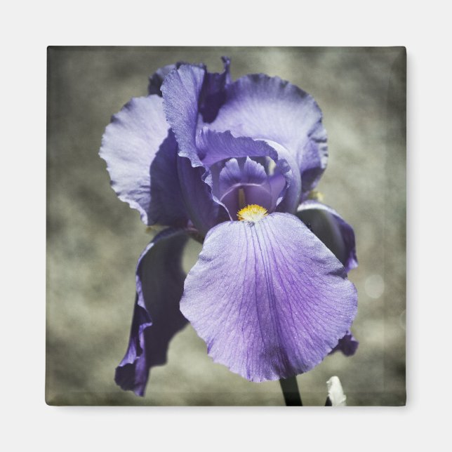 Hay un imán de belleza (Frente)