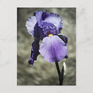 Hay una postal de belleza