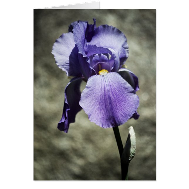 Hay una tarjeta de belleza (Frente)