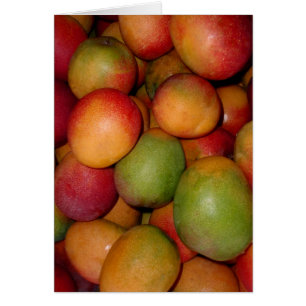 Hayden Mangos