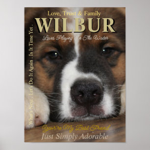 Haz de tu mascota la estrella que es Póster de rev