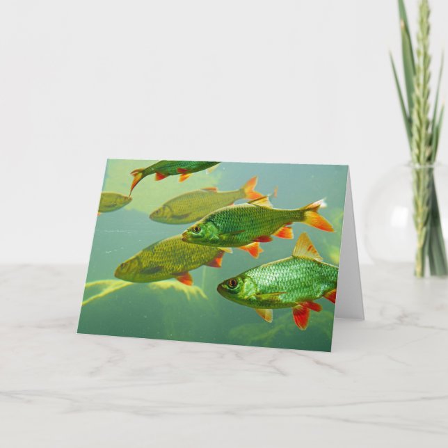 Haz tu propia tarjeta de fotos (Anverso)