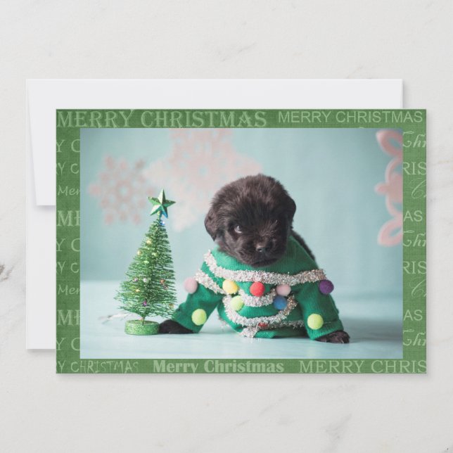 Haz tu propia tarjeta de Navidad (Anverso)