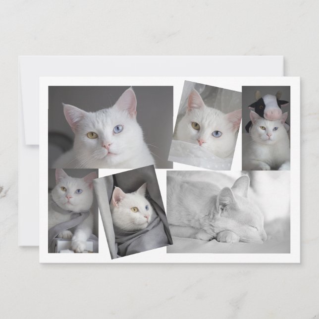 Haz tu propia tarjeta personalizada de Collage de  (Anverso)