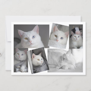 Haz tu propia tarjeta personalizada de Collage de