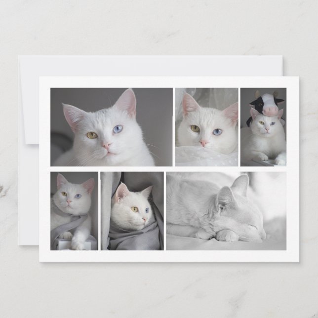 Haz tu propia tarjeta personalizada de Collage de  (Anverso)