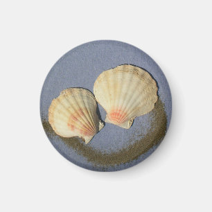 " Haz tu propio imán - conchas de playa