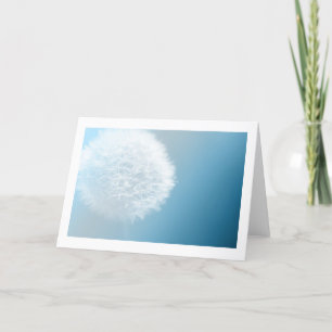 Haz Una Tarjeta De Saludo De Wish Dandelion