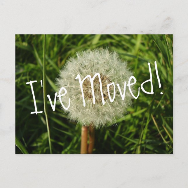 He movido postal con fotografía de Dandelion (Anverso)