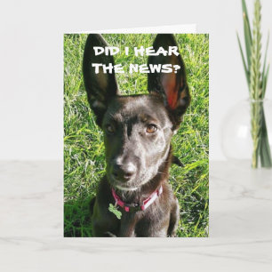 ¿HE OÍDO QUE TIENES LA TARJETA DE CUMPLEAÑOS "18"?