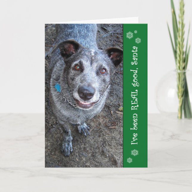 He sido buenas tarjetas de Navidad REALES de Santa (Anverso)