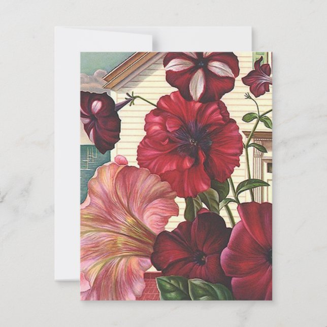 He trasladado a casa a la Invitación Petunia Flowe (Anverso)