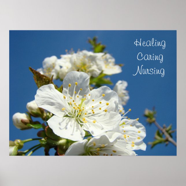 Healing Caring Nursing posters Blue Sky Blossoms (Frente)