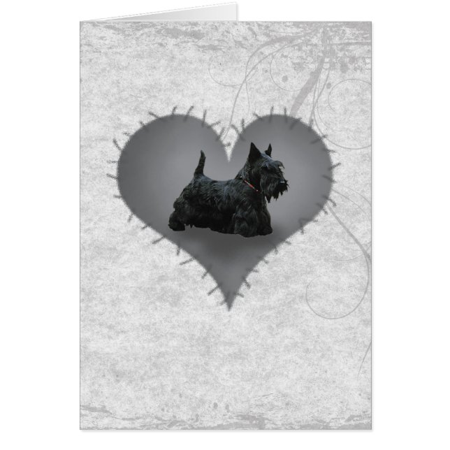 Heart Scottie (Frente)