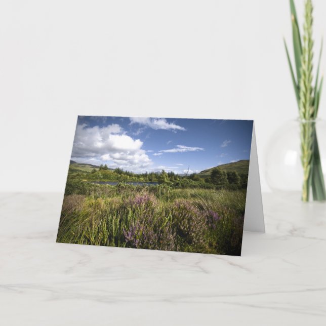 Heathland Tarjeta de felicitación (Anverso)
