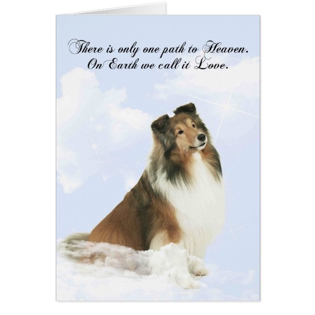 Heavenly Grace Sheltie (Frente)