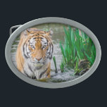 Hebilla de cinturón, a la venta.<br><div class="desc">A todo el mundo le gustará mucho este tigre 😎 fresco 🐯 hebilla de cinturón.</div>
